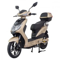 Racceway E-Fichtl 12Ah